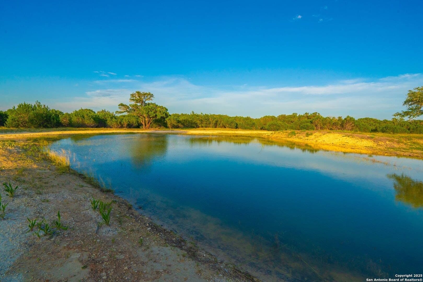 16 acres in Kendall County - photo 15