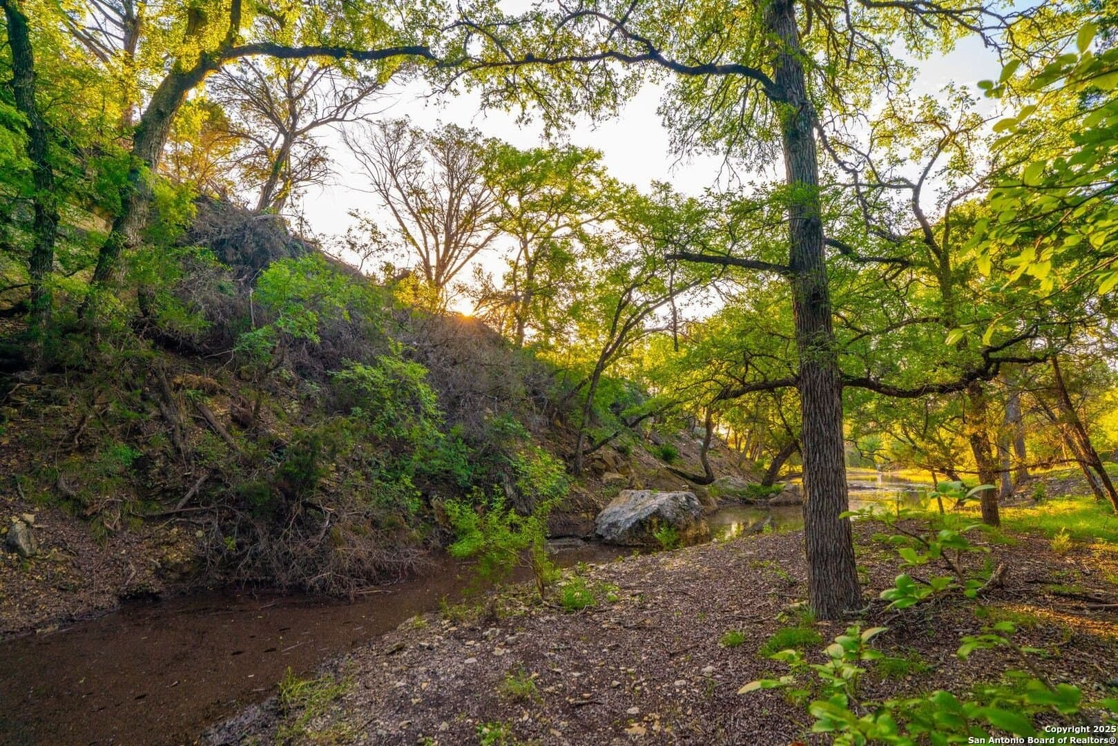 16 acres in Kendall County - photo 23