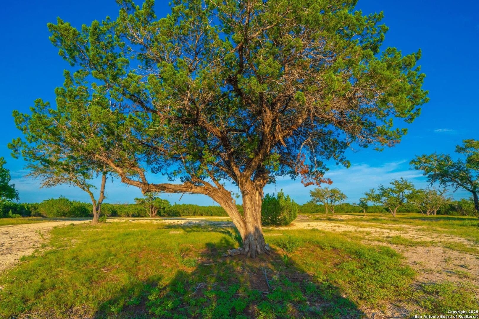 16 acres in Kendall County - photo 18