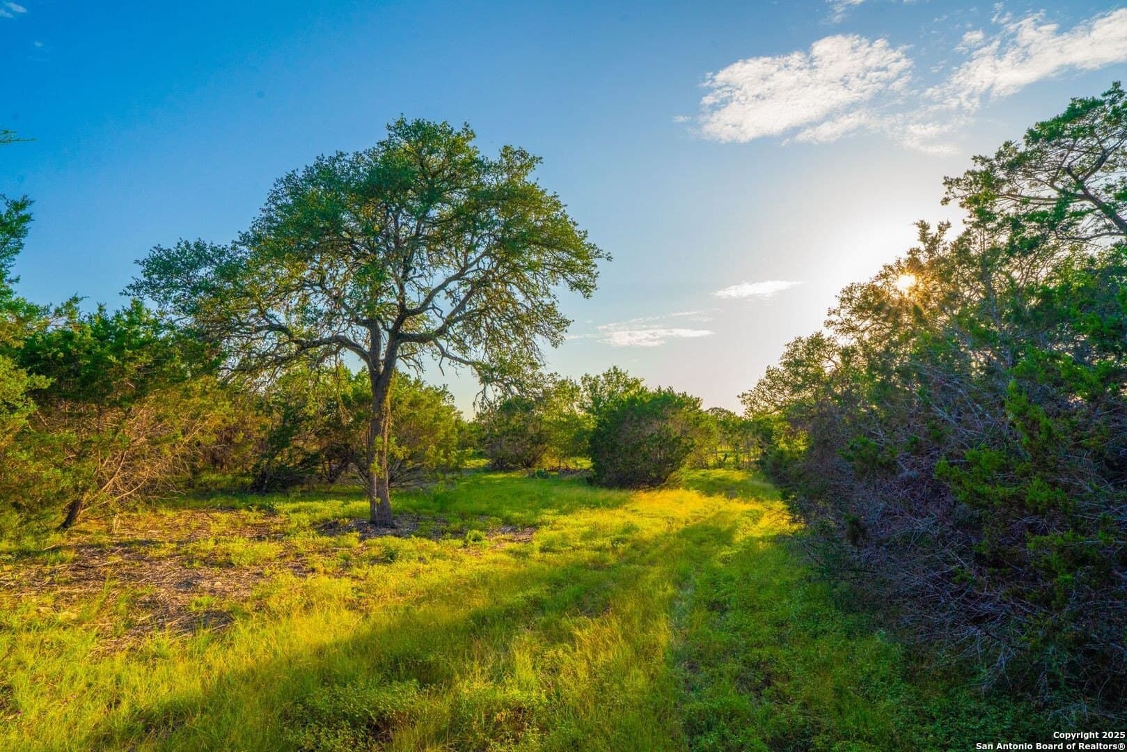 16 acres in Kendall County - photo 19