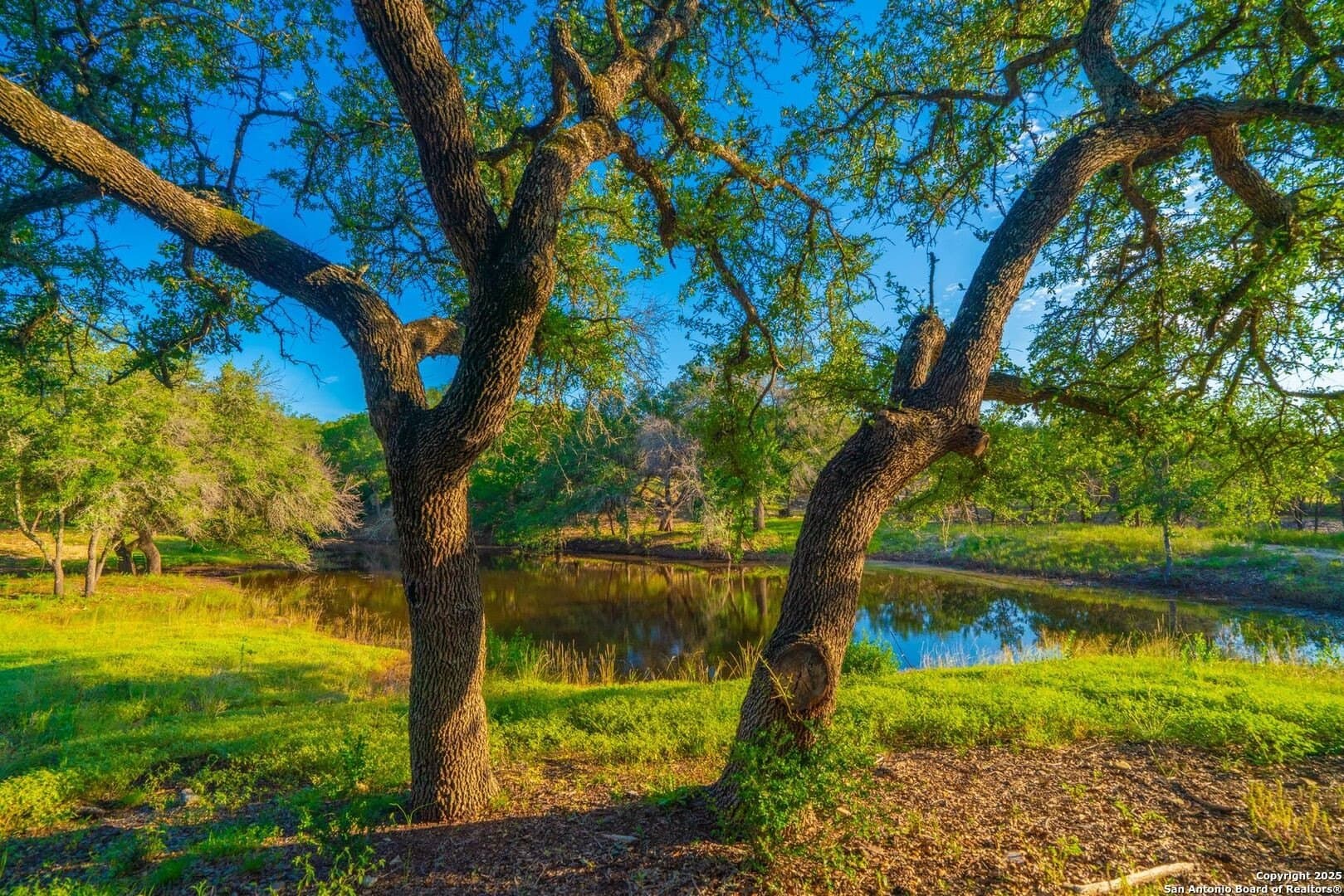 26.6 acres in Kendall County gallery image 2