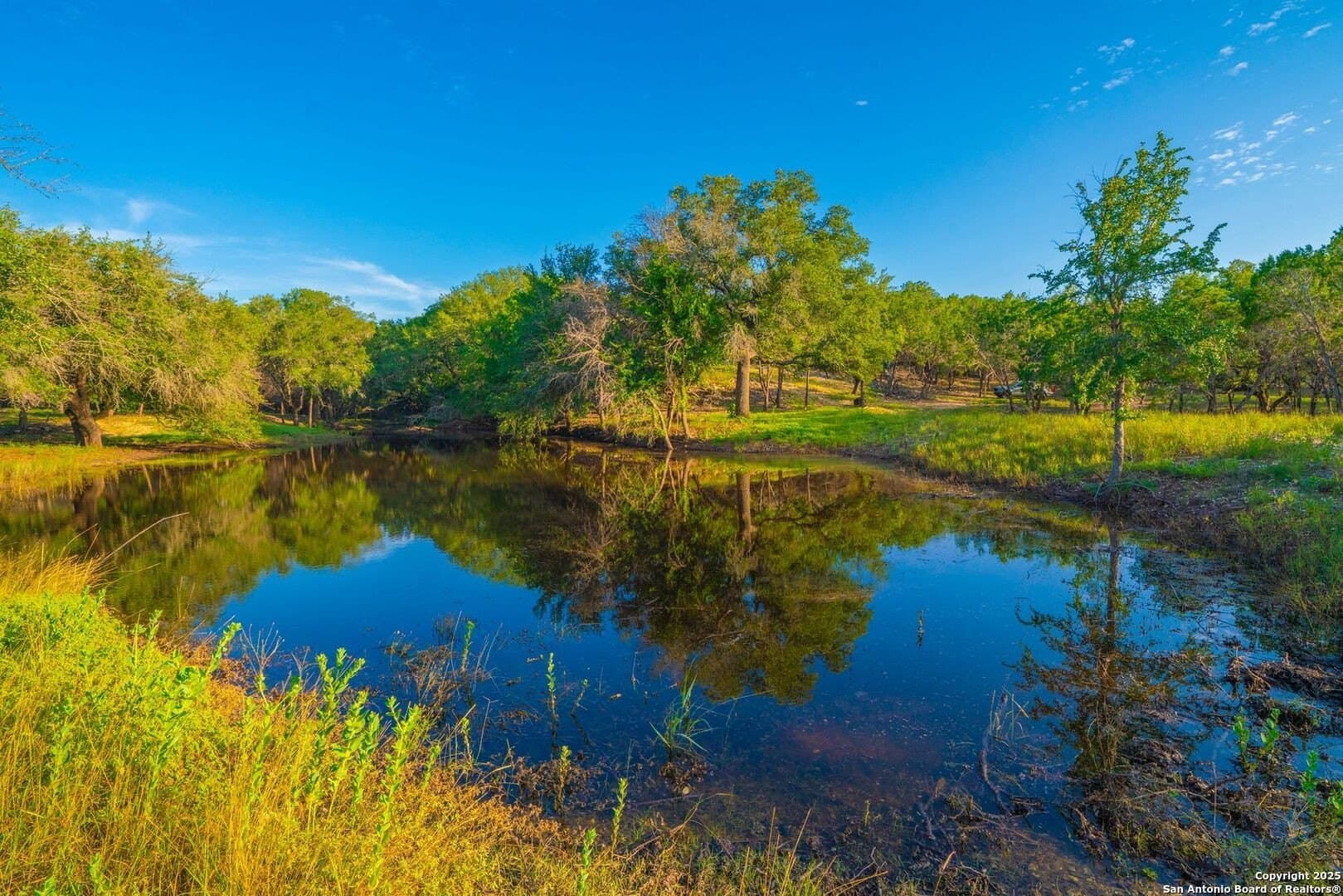 16 acres in Kendall County - photo 7