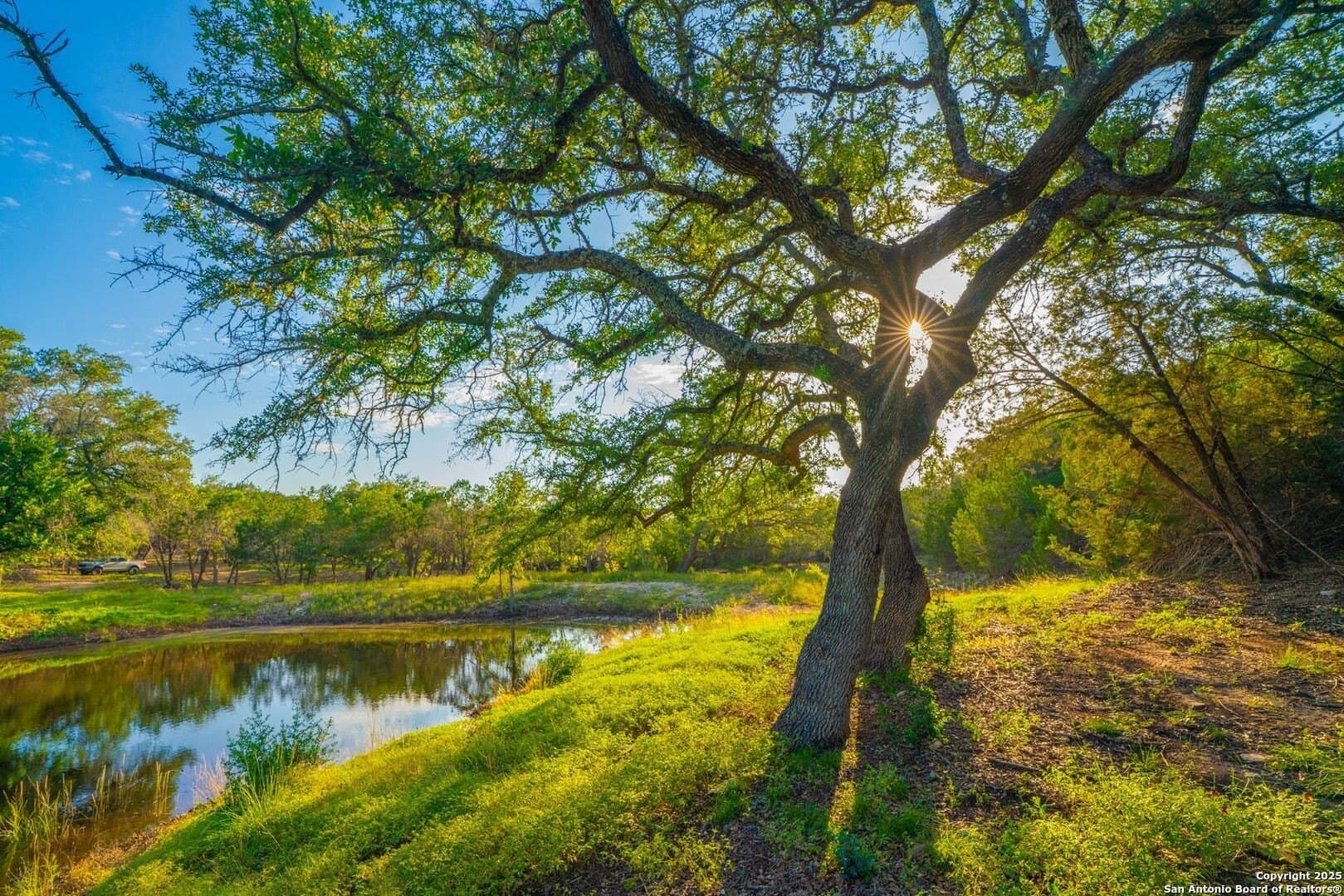 26.6 acres in Kendall County gallery image 3
