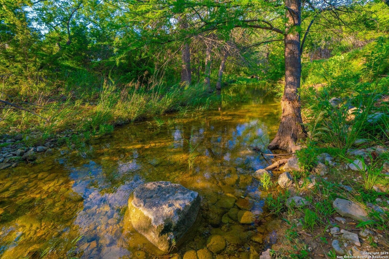 26.6 acres in Kendall County gallery image 4
