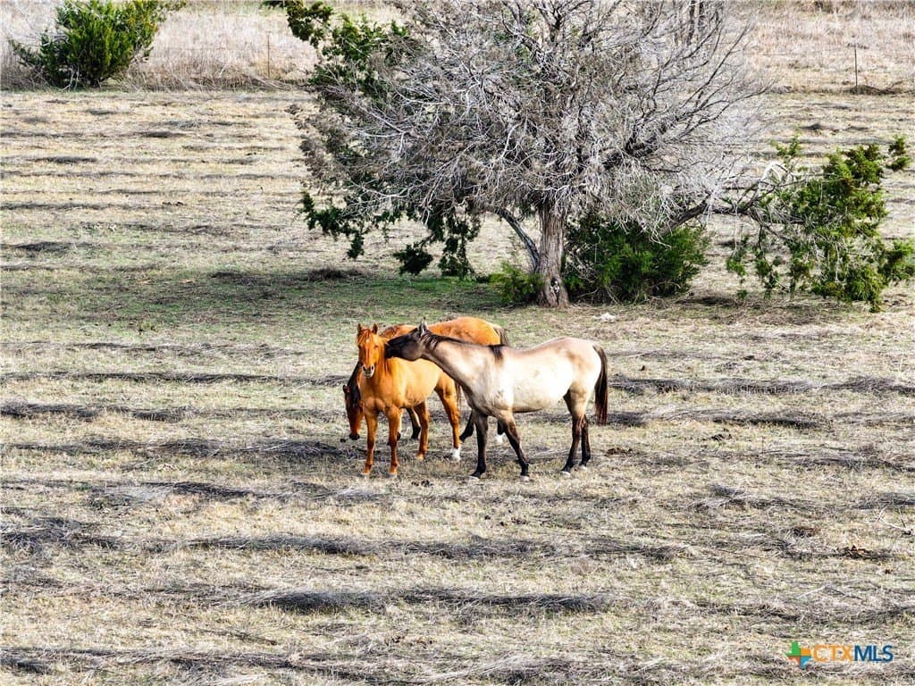 10.26 acres in Bell County - photo 19