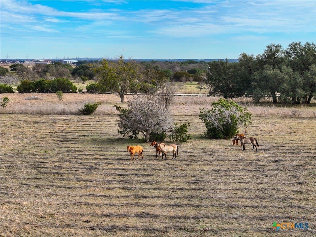 10.26 acres in Bell County - photo 15