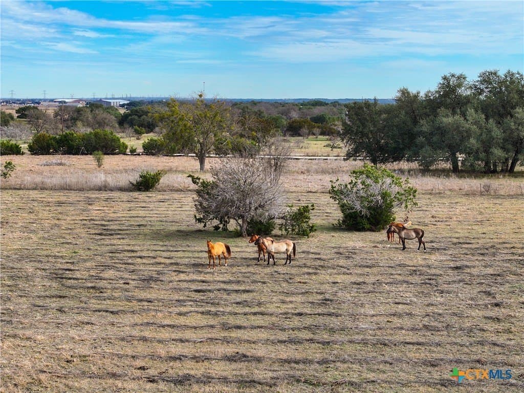 10.26 acres in Bell County - photo 16