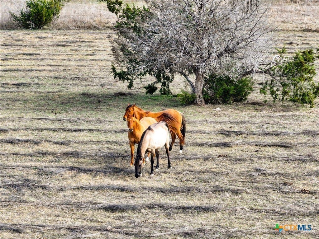 10.26 acres in Bell County - photo 20