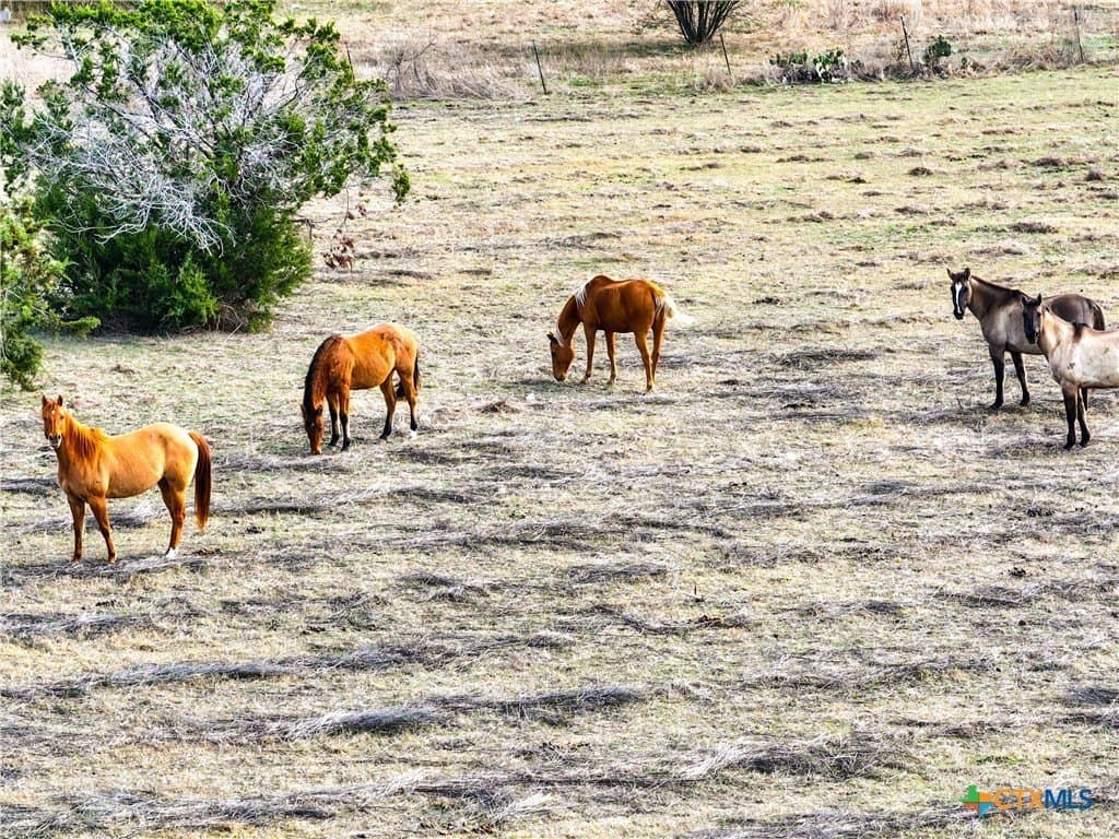 10.26 acres in Bell County - photo 11