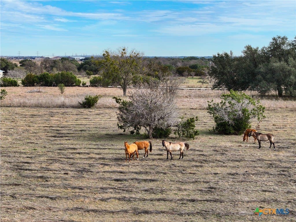 10.26 acres in Bell County - photo 22