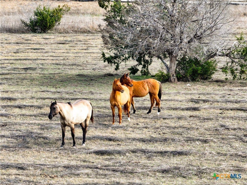 10.26 acres in Bell County - photo 21