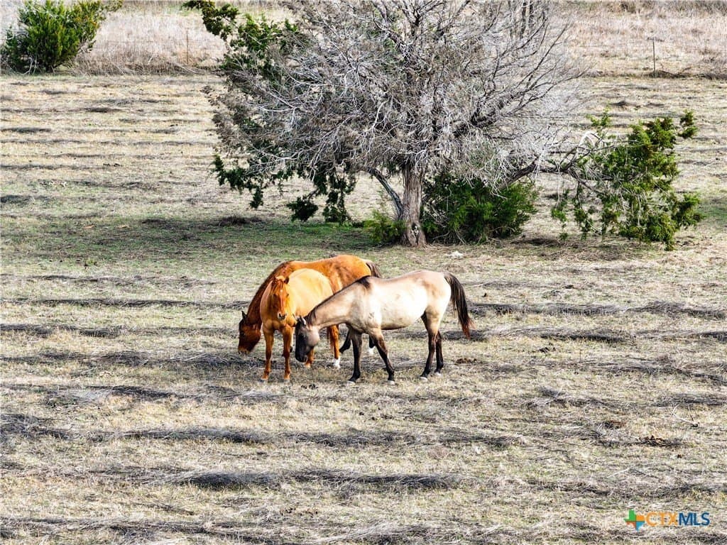 10.26 acres in Bell County - photo 18