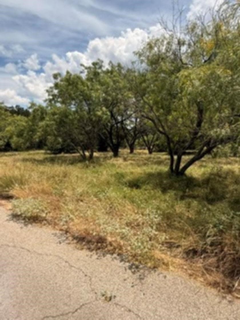 0.28 acres in Llano County - photo 3