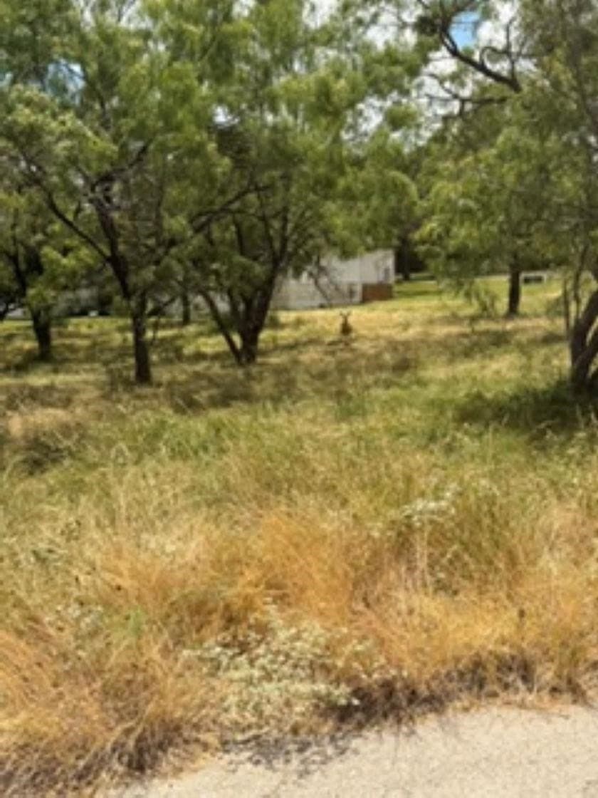 0.28 acres in Llano County - photo 5