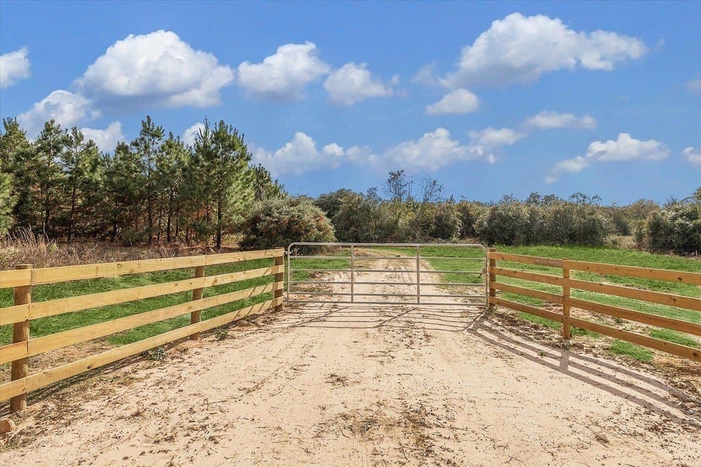 25.13 acres in Waller County gallery image 2