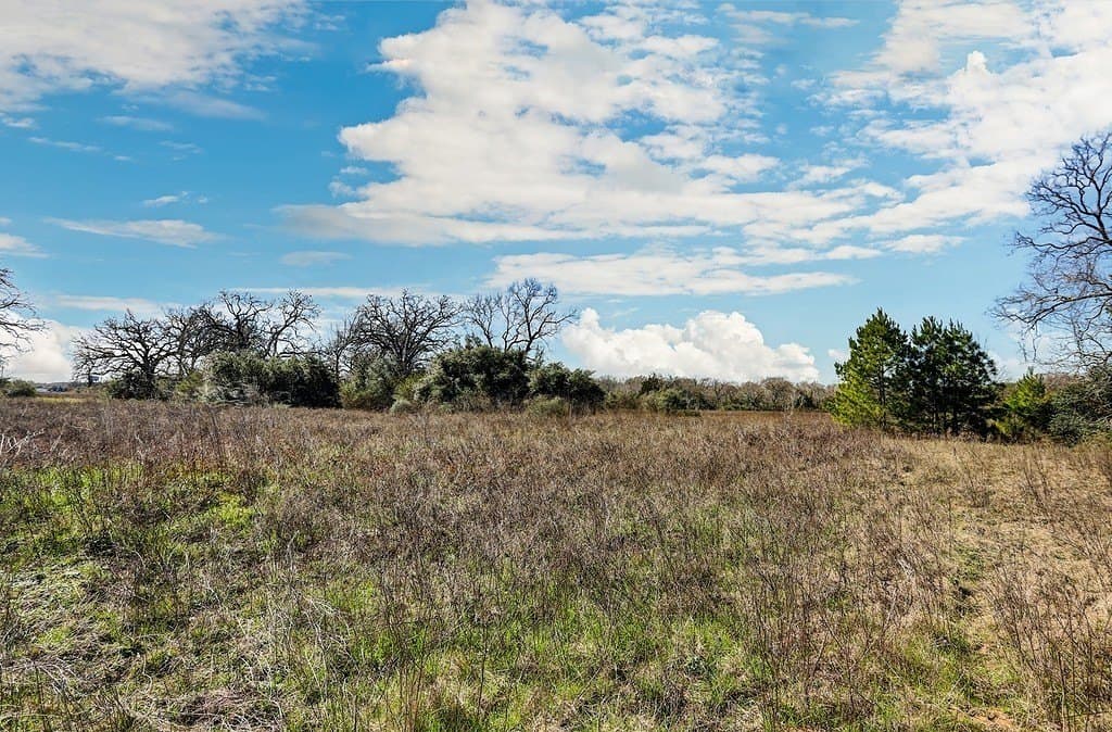 25.13 acres in Waller County gallery image 4