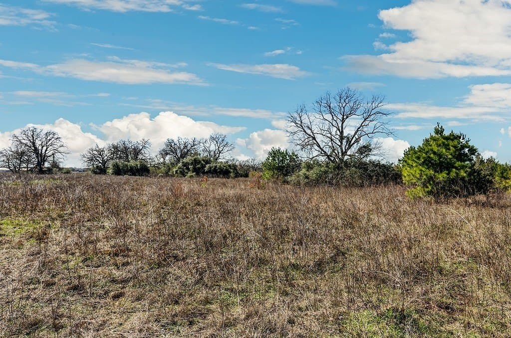 25.13 acres in Waller County featured view
