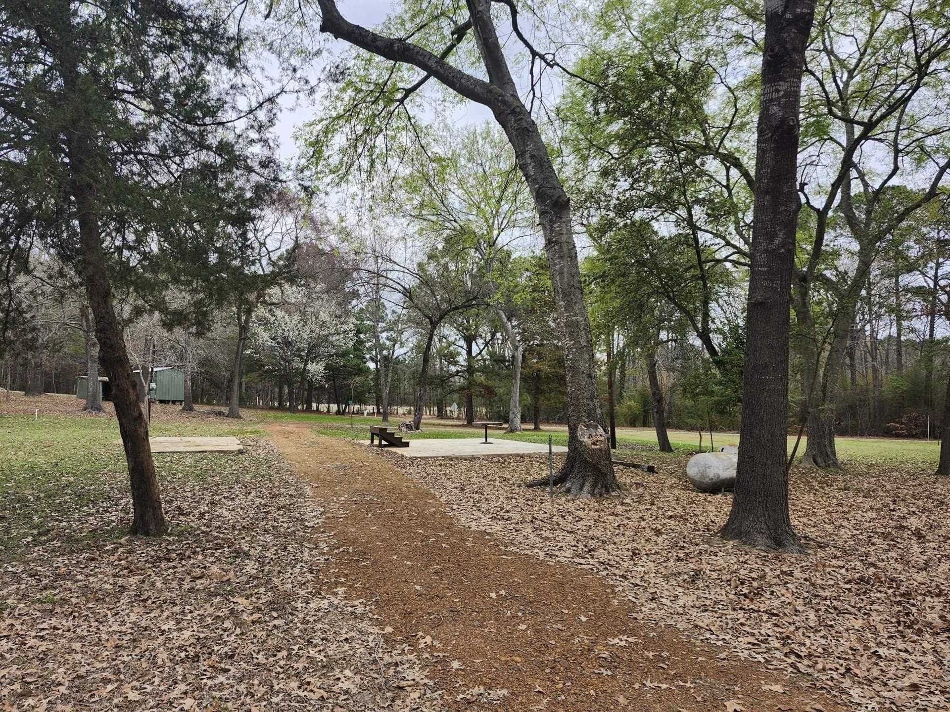 1.96 acres in Marion County gallery image 3