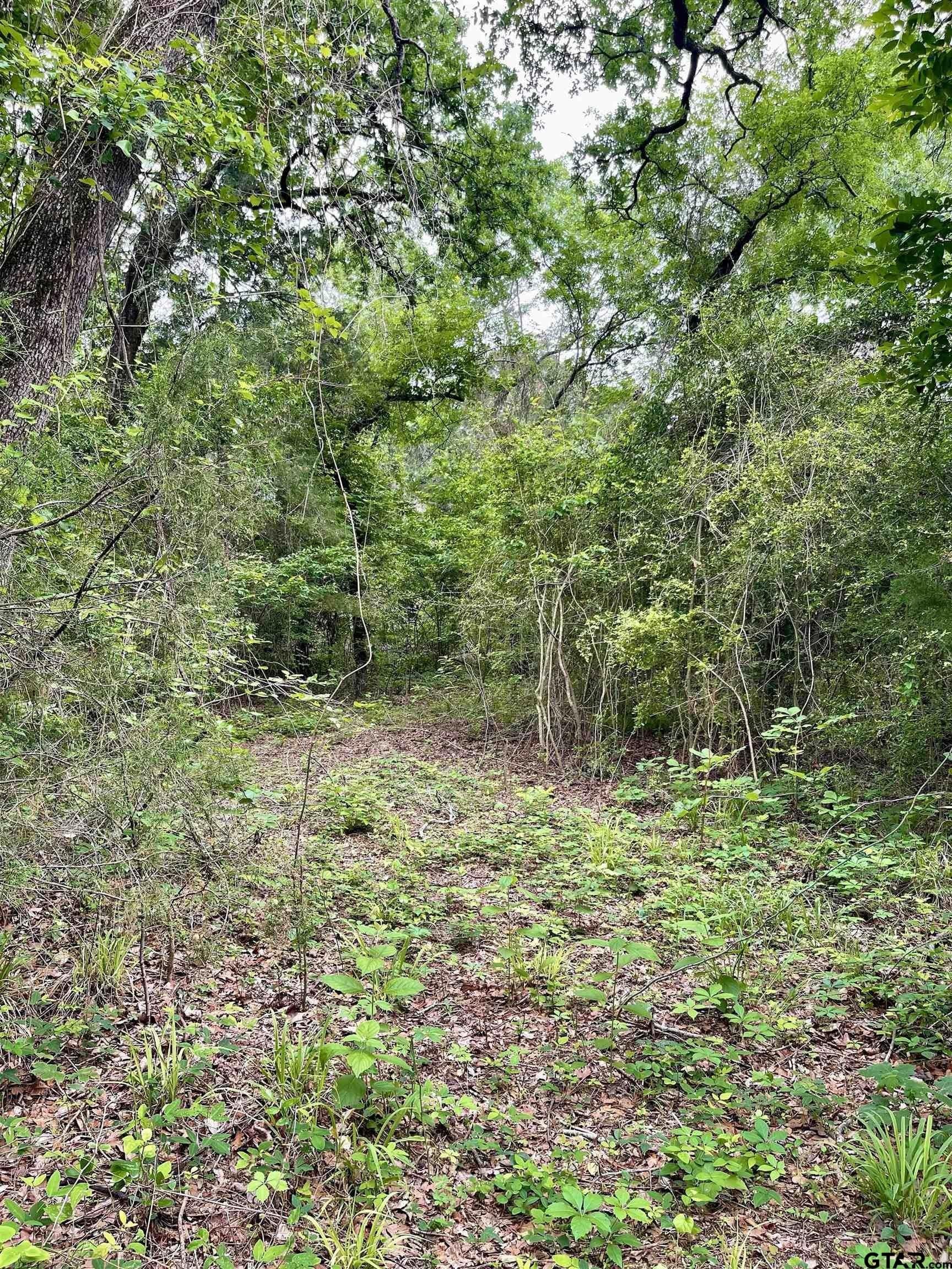 5 acres in Smith County - photo 3