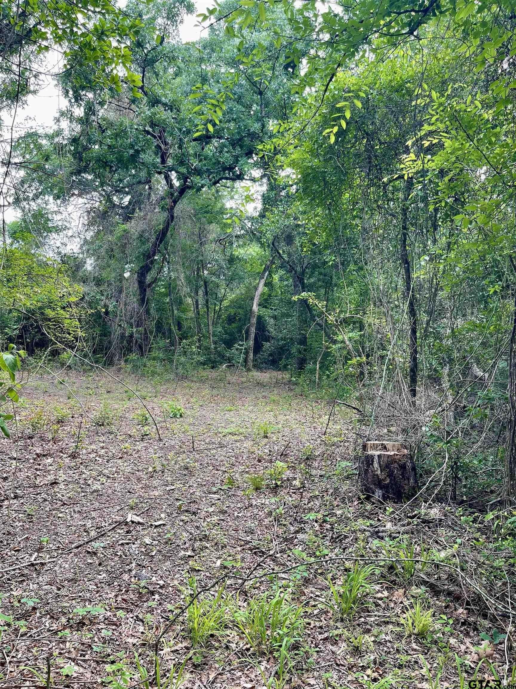 5 acres in Smith County - photo 2