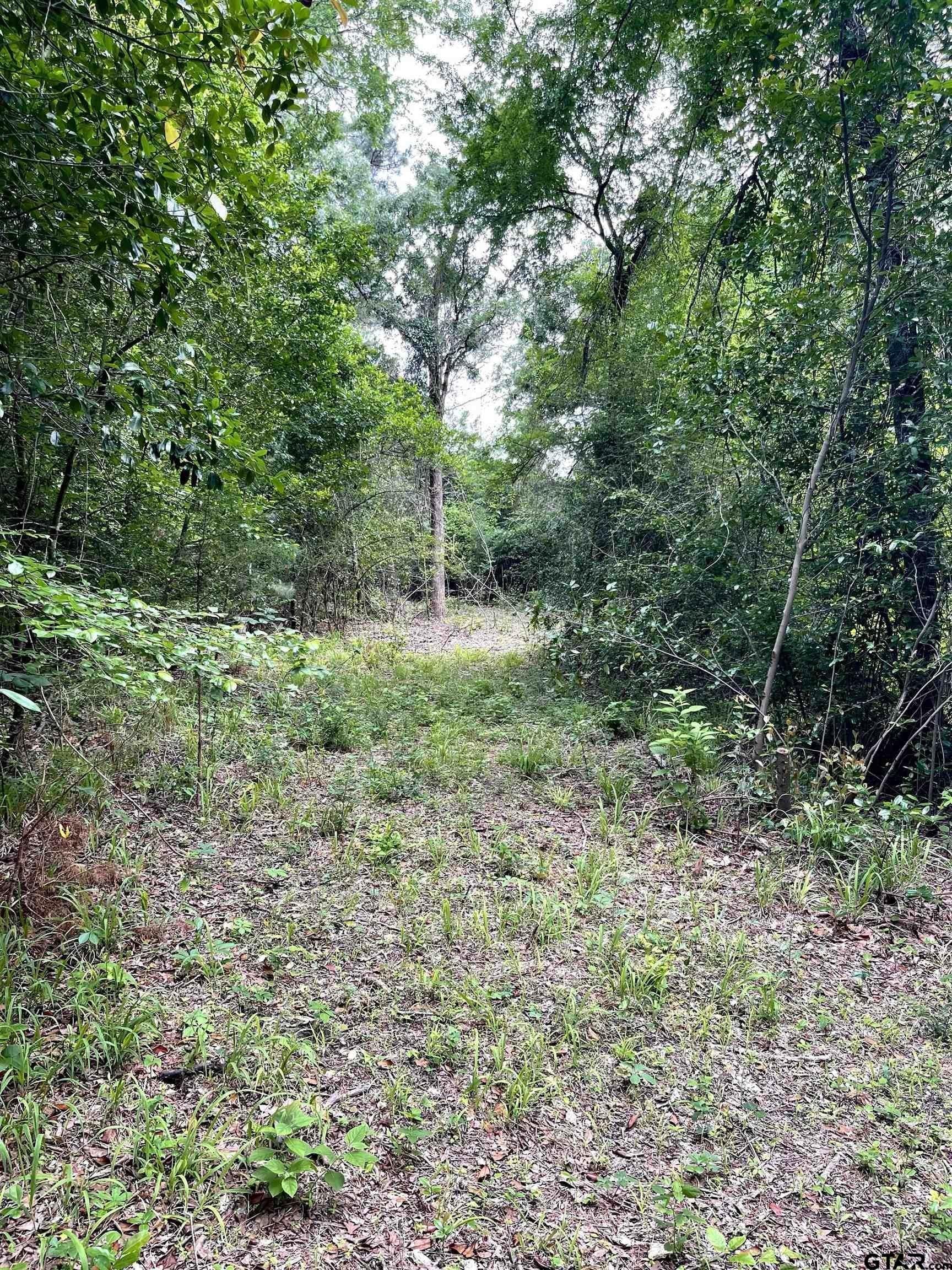 5 acres in Smith County
