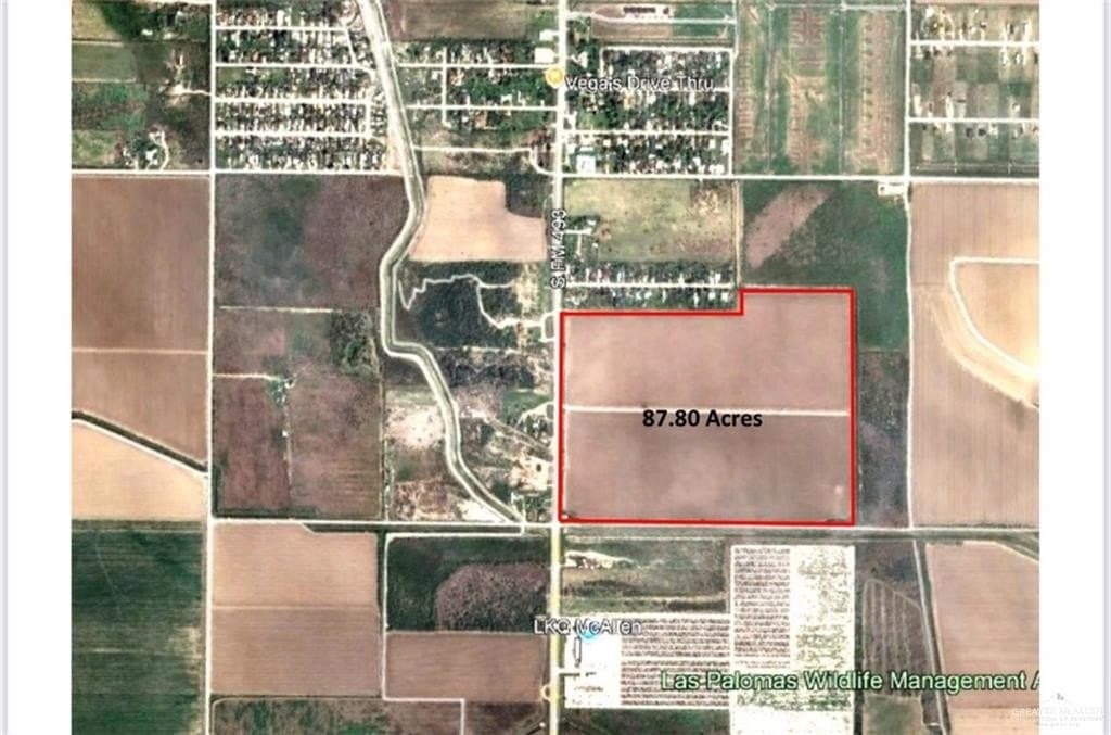 87 acres in Hidalgo County gallery image 3