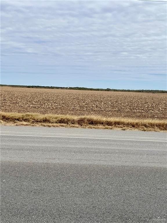 87 acres in Hidalgo County gallery image 2