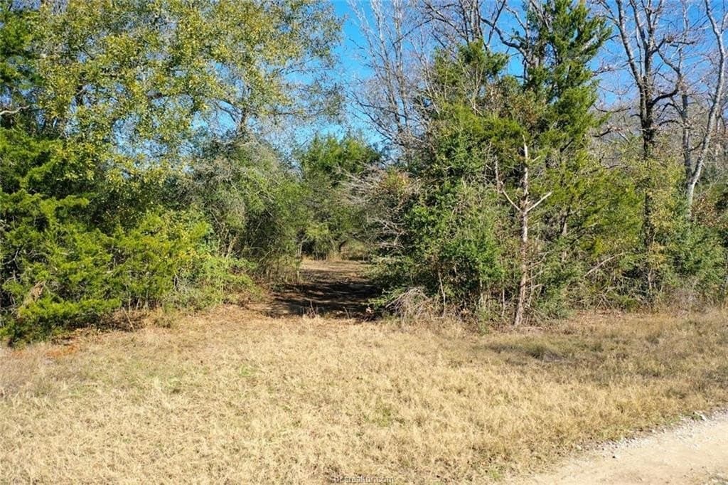 5 acres in Madison County - photo 8