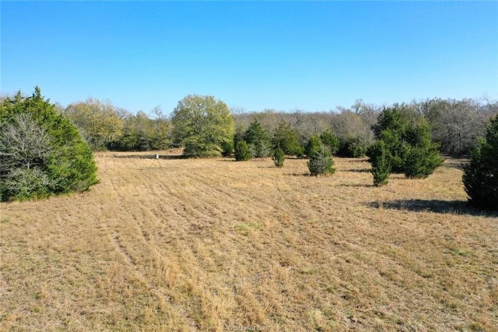 5 acres in Madison County - photo 11