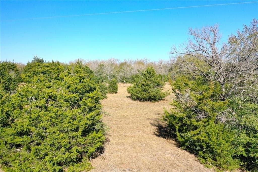 5 acres in Madison County gallery image 2