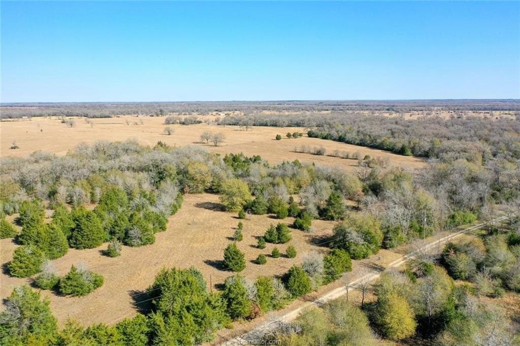 5 acres in Madison County gallery image 3