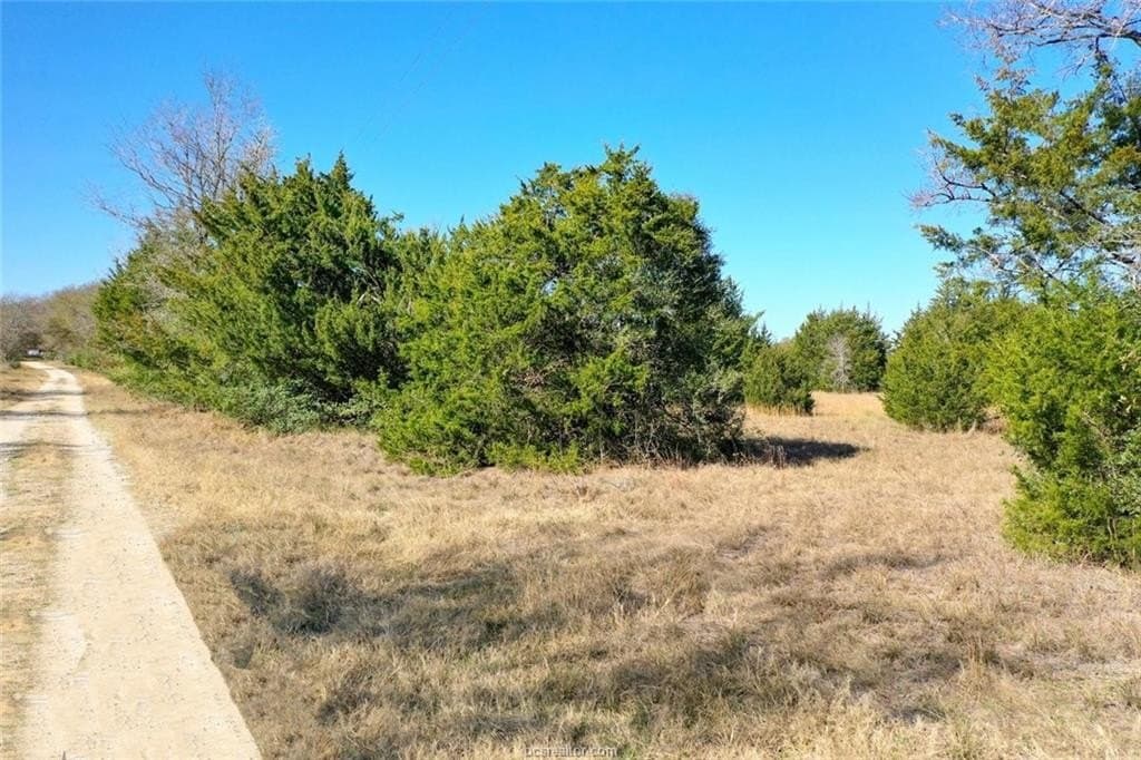 5 acres in Madison County - photo 7