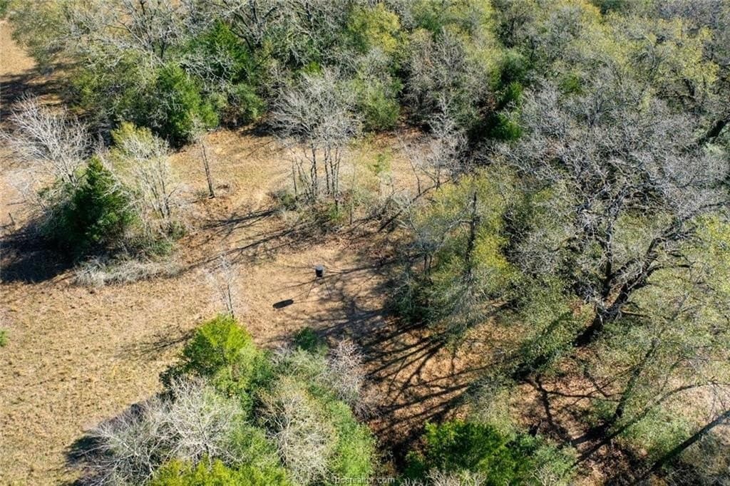 5 acres in Madison County - photo 9