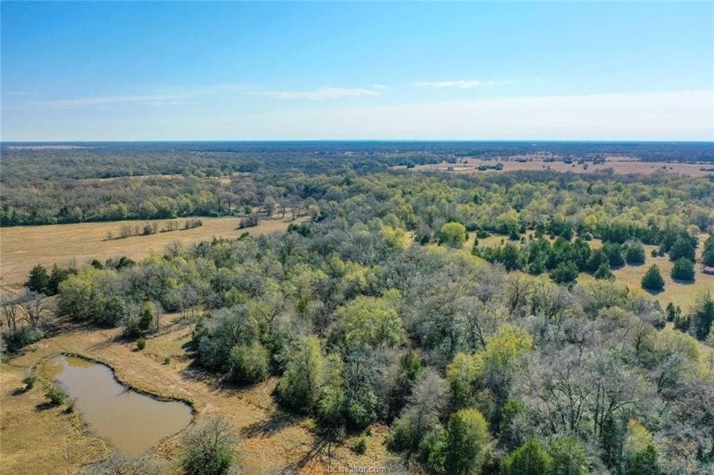 5 acres in Madison County - photo 6