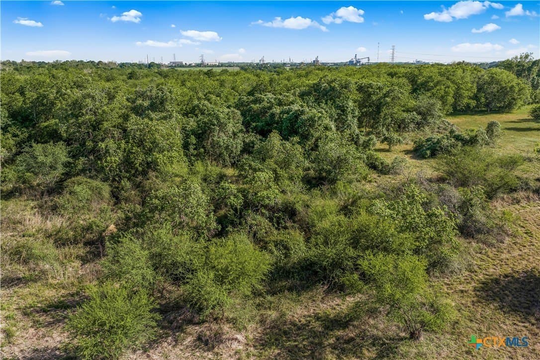 21.07 acres in Victoria County - photo 9