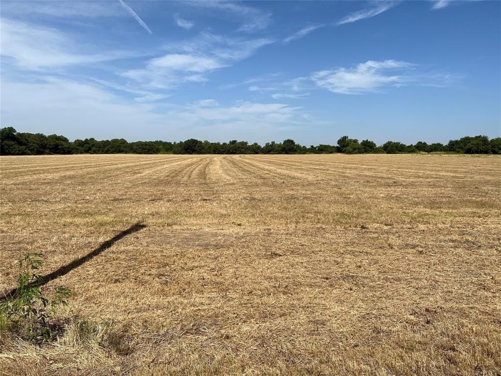 5.47 acres in Grayson County gallery image 2