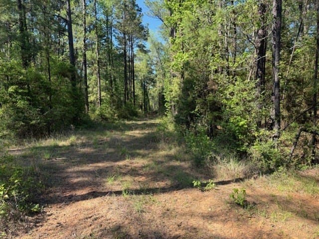 5.96 acres in Texas County - photo 8