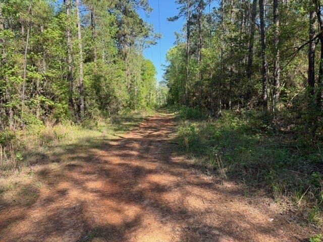 5.96 acres in Texas County - photo 9