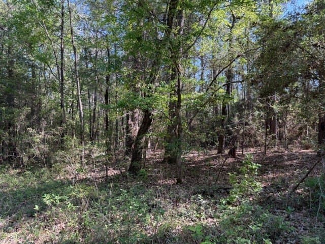 5.96 acres in Texas County - photo 10