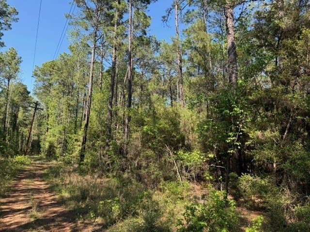 5.96 acres in Texas County - photo 7