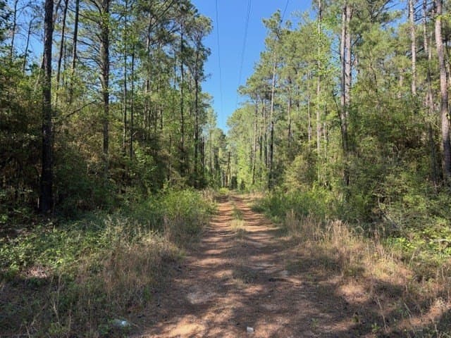 5.96 acres in Texas County - photo 5