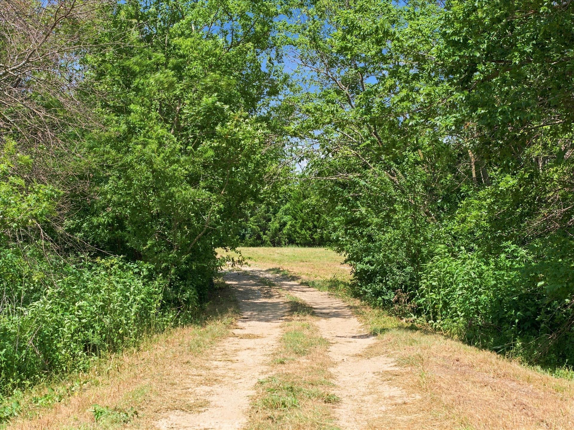 61.1 acres in Rockwall County - photo 4