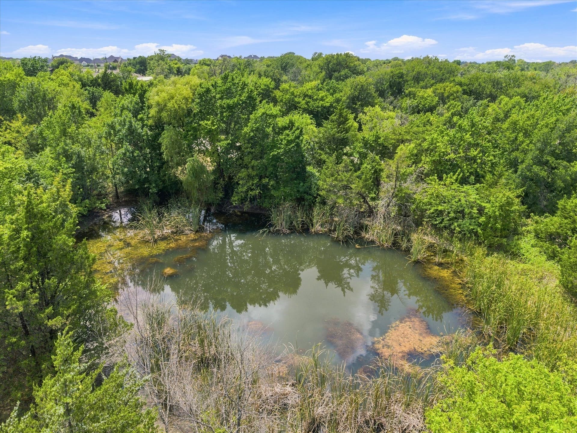 61.1 acres in Rockwall County - photo 9