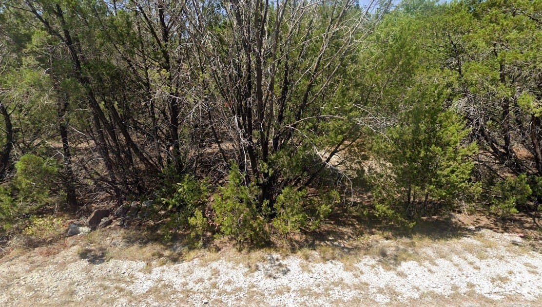 0.03 acres in Hood County - photo 2