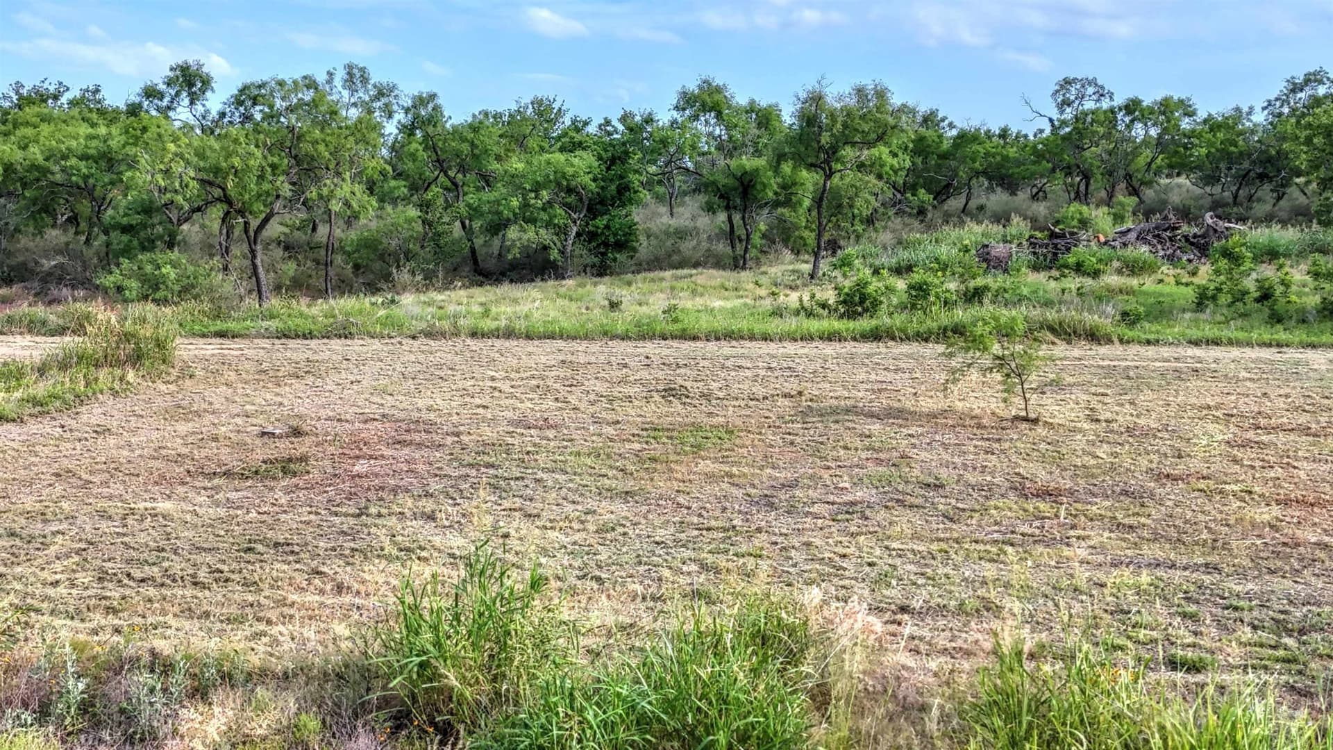 3.8 acres in Llano County - photo 11