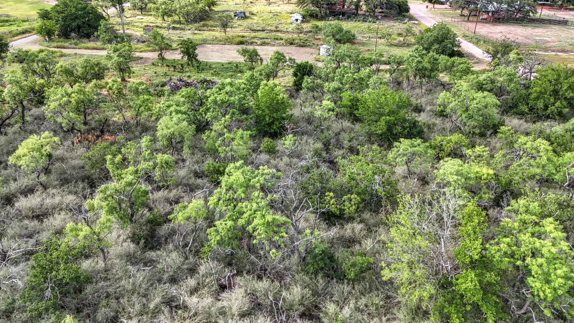 3.8 acres in Llano County - photo 15