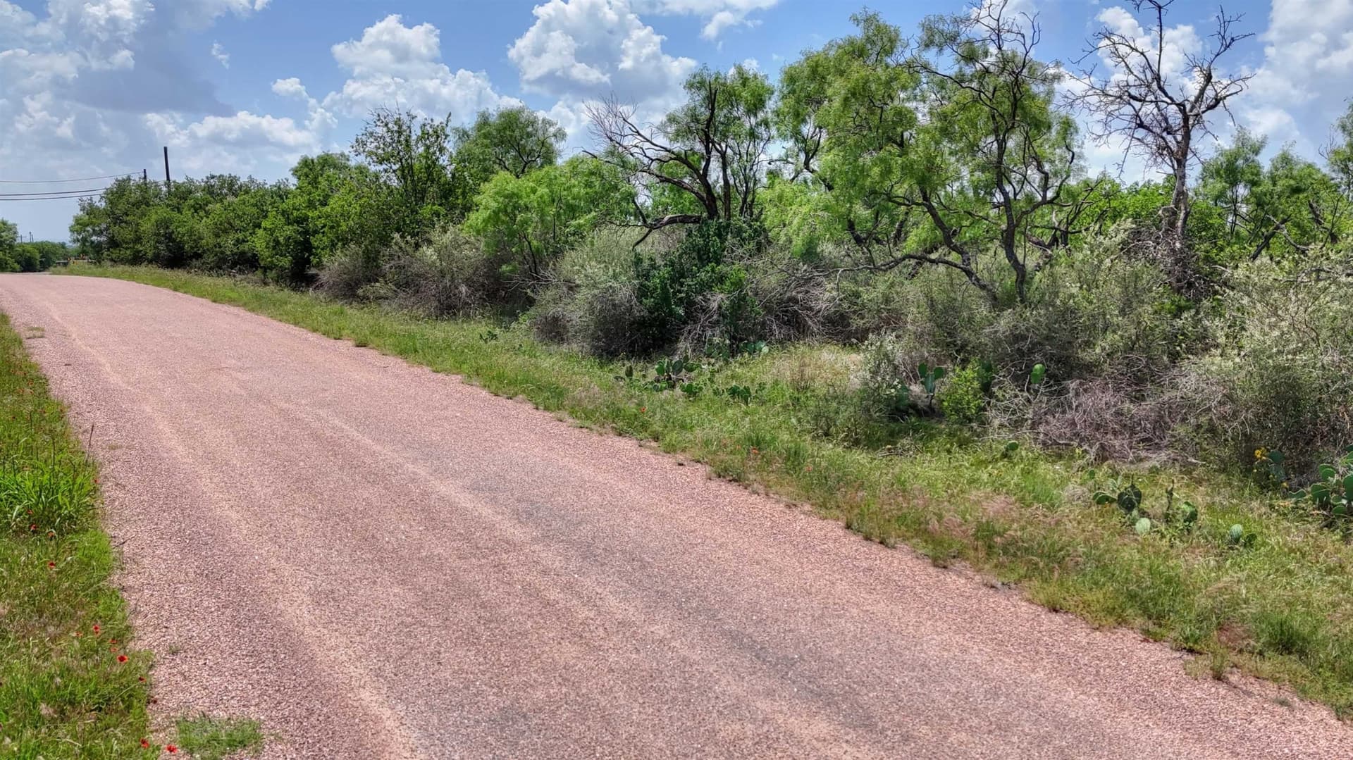3.8 acres in Llano County - photo 22
