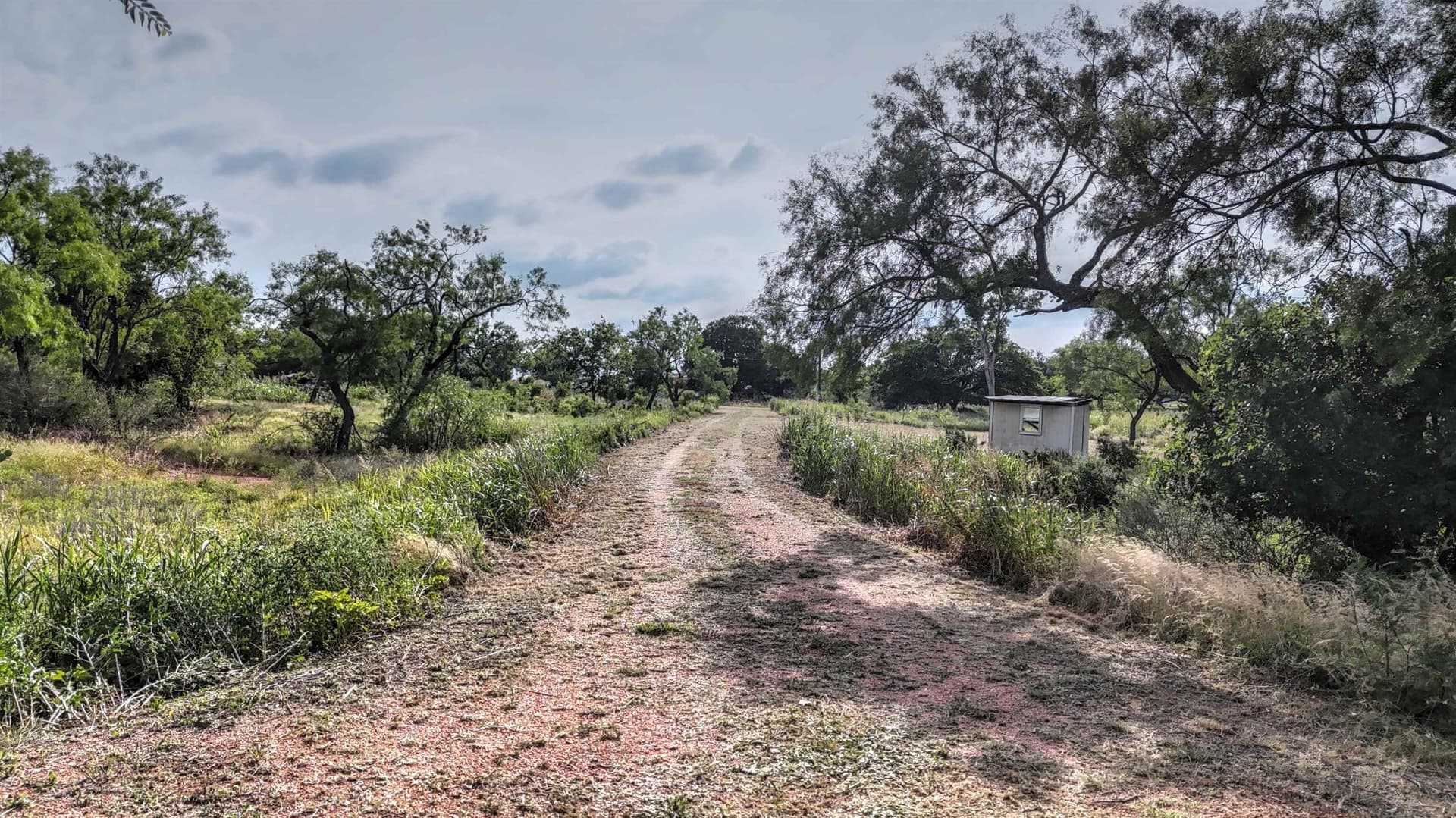 3.8 acres in Llano County - photo 7