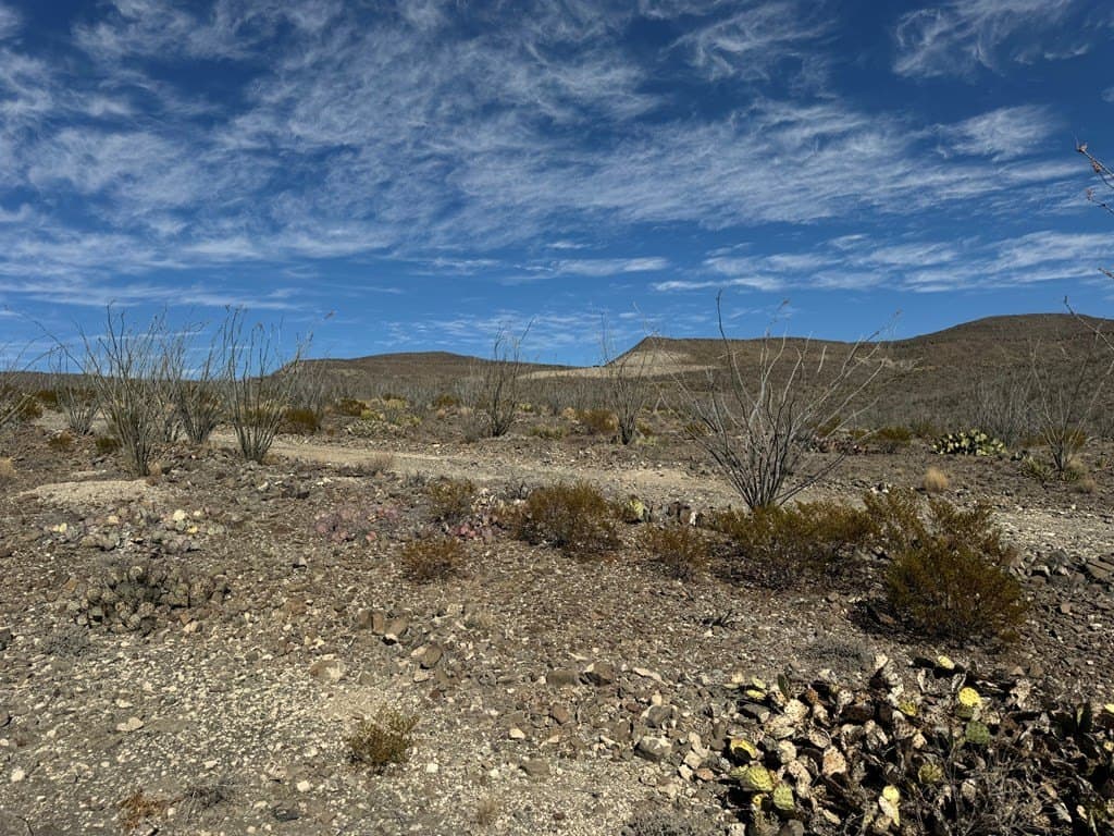 61 acres in Brewster County - photo 6
