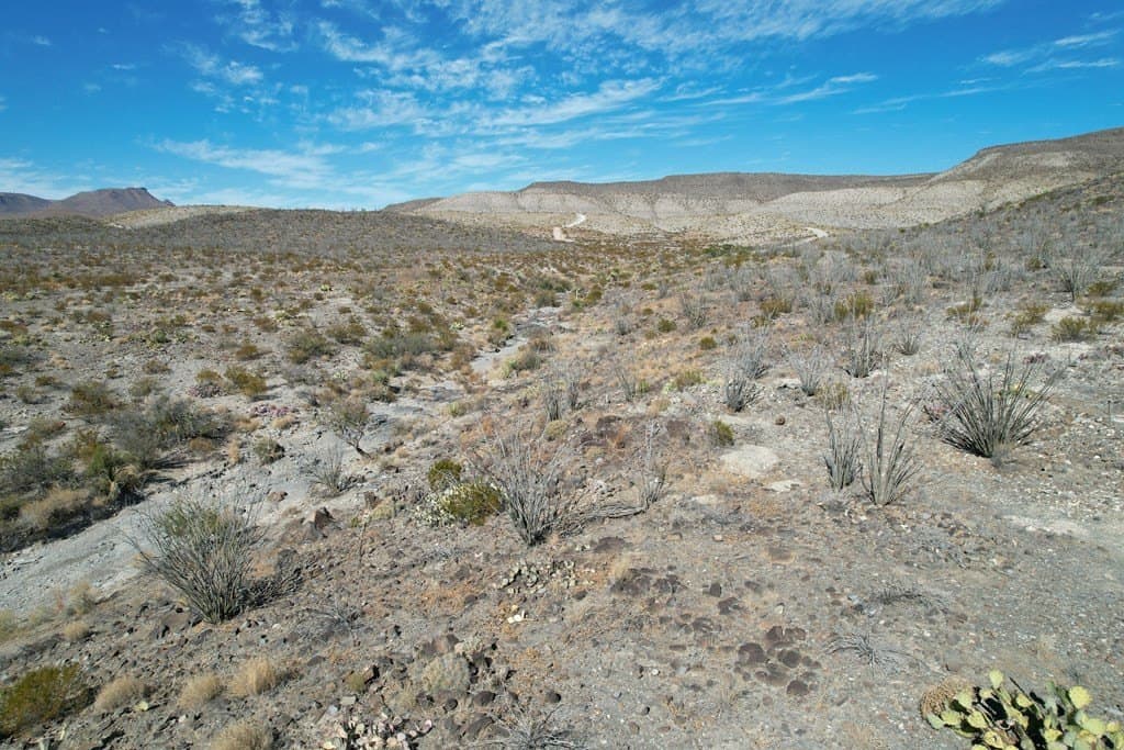 61 acres in Brewster County - photo 21